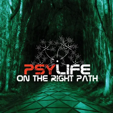 On the Right Path by Various Artists - album cover