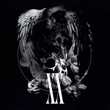 XX by Various Artists - album cover