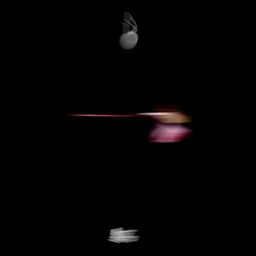 the other perspectives