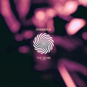 The Brain (acoustic)