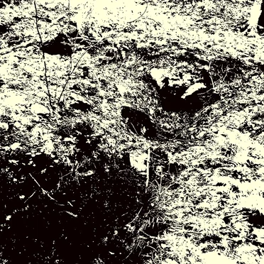 The Garden of Envy by The Ghost in Her Echo - album cover