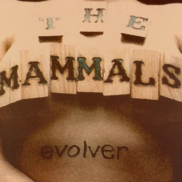 Evolver
