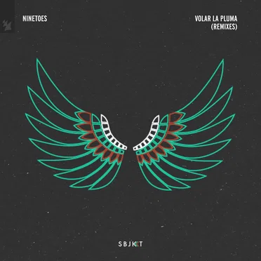 Volar la pluma (remixes)