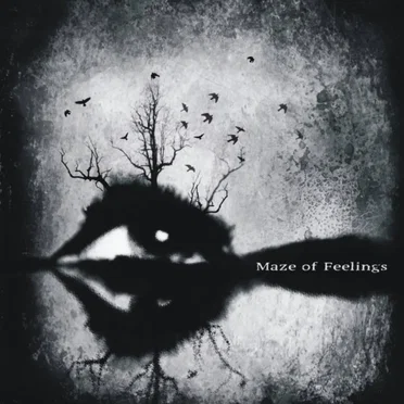 Maze of Feelings by Maze of Feelings - album cover