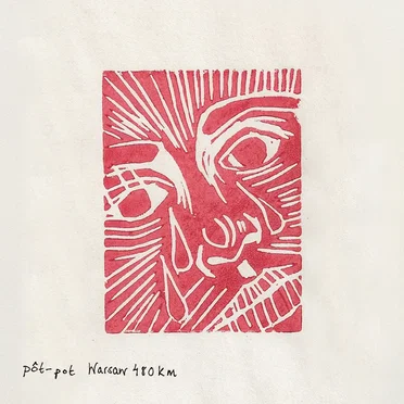 Warsaw 480km by pôt-pot - album cover