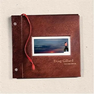 Salamander by Doug Gillard - album cover