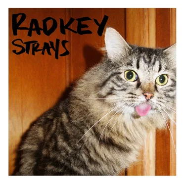 Strays