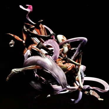 Mykki Blanco presents C-ORE