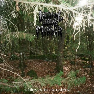 Thieves of Sunshine