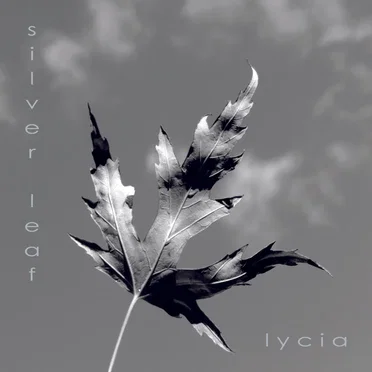 Silver Leaf