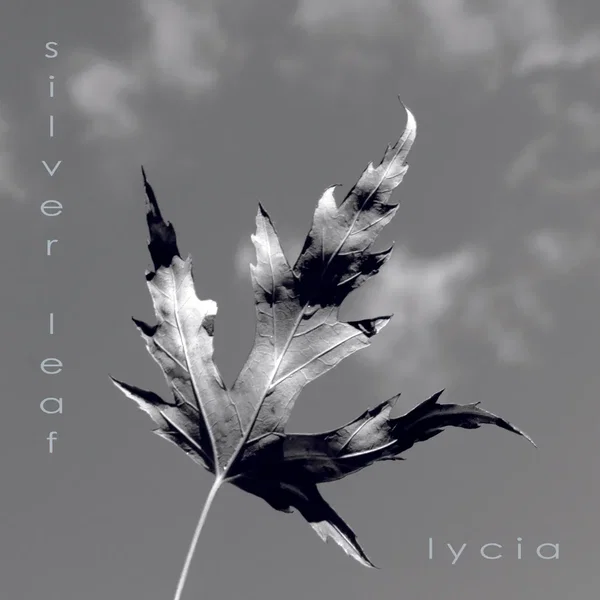 Silver Leaf