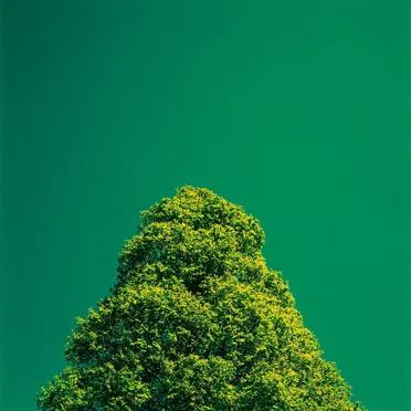LesGo! by Devin Daniels - album cover