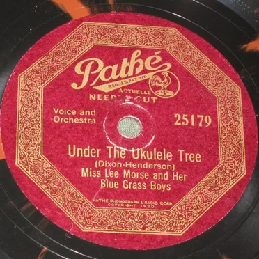 Under the Ukulele Tree / Waiting