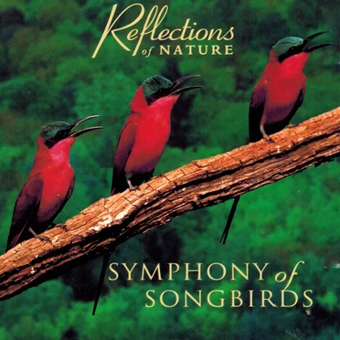 Symphony of Songbirds