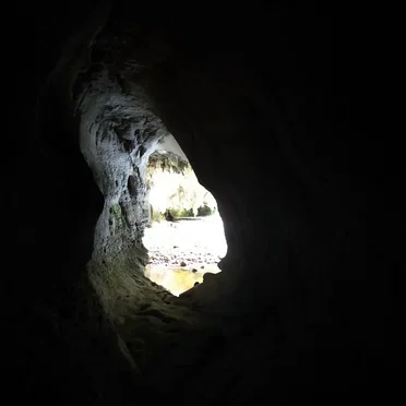 Inside the Castle
