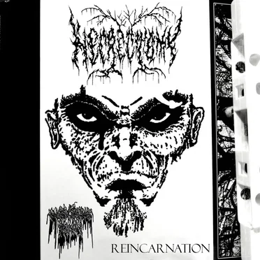 Reincarnation