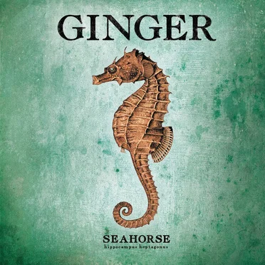 Seahorse by Ginger - album cover