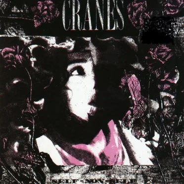 Self-Non-Self by Cranes - album cover
