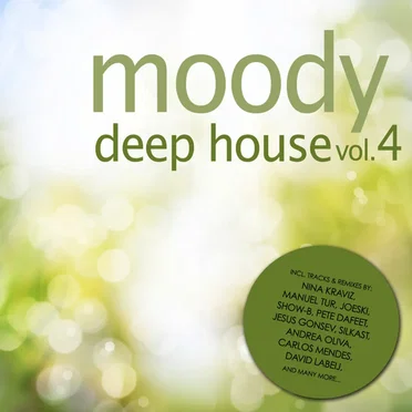 Moody Deep House, Vol. 4 by Various Artists - album cover