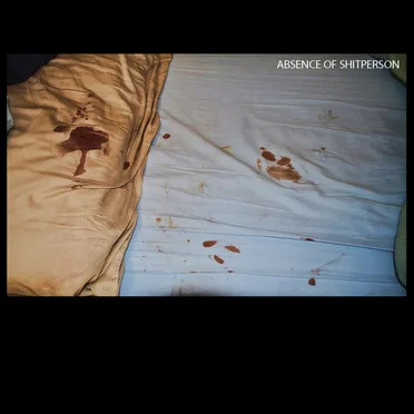 Absence of Shitperson by Lil Ugly Mane - album cover
