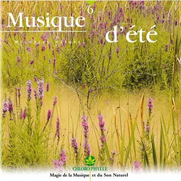 Musique d'été