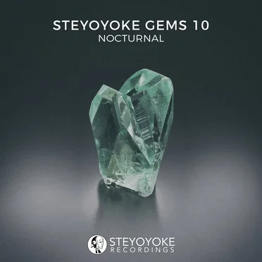 Steyoyoke Gems Nocturnal 10 by Various Artists - album cover