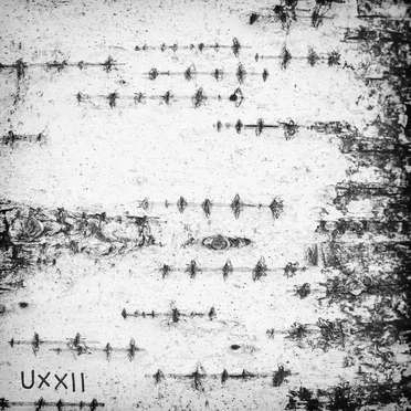 Silver Birch by Uxxii - album cover