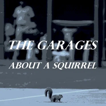 about a squirrel