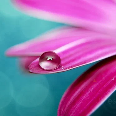 Gentle Care