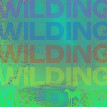 Operation Freakout by Wilding - album cover