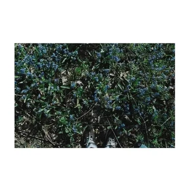 discography 2016