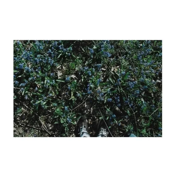 discography 2016