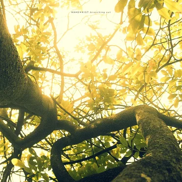 Branching Out by Handwrist - album cover