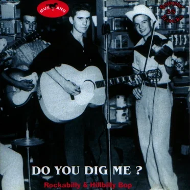 Rockabilly & Hillbilly Bop, Volume 08: Do You Dig Me ? by Various Artists - album cover