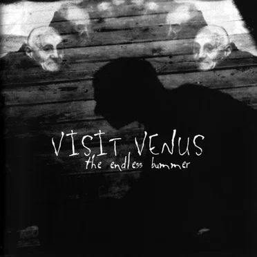 The Endless Bummer by Visit Venus - album cover