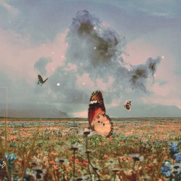 I Won’t Be Running