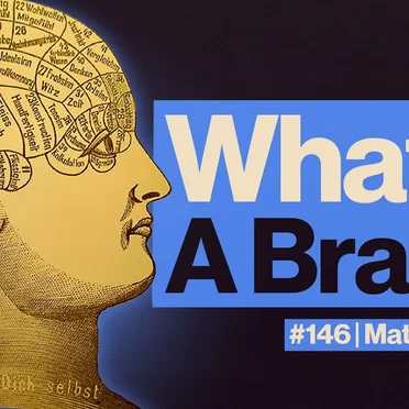 Within Reason #146, “The Most Complicated Thing in the Universe: What Is the Brain?” by Alex O'Connor - album cover