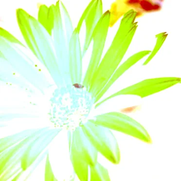 Free Spring, Free! by My Jazzy Child - album cover