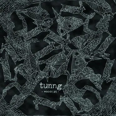 Woodcat by Tunng - album cover
