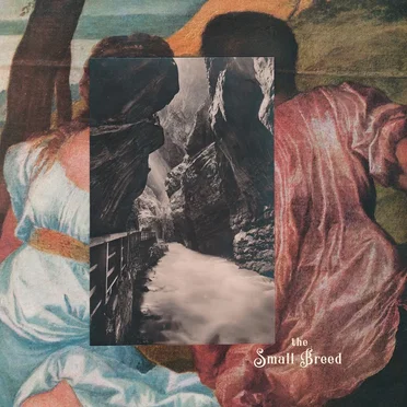 The Small Breed by The Small Breed - album cover