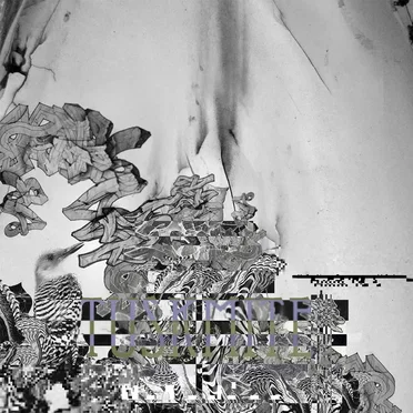 But Where's the Pickle? (extended version) by Tusk Mite - album cover