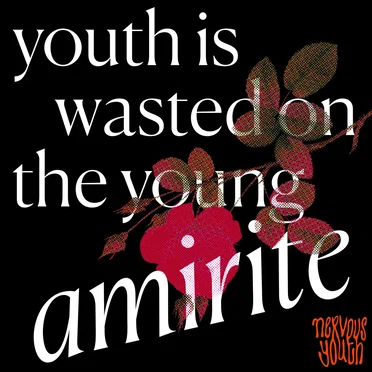 Youth is Wasted on the Young, amirite