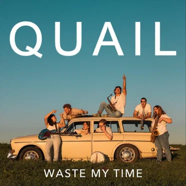 Waste My Time by Quail - album cover