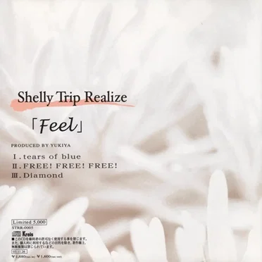 Feel by Shelly Trip Realize - album cover