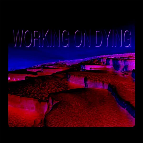 Working on Dying 2
