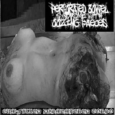 Cum Filled Dismembered Torso