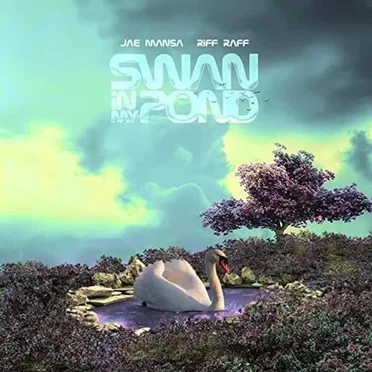 SWAN iN MY POND