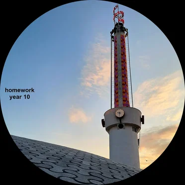 Homework – Year 10 by Various Artists - album cover