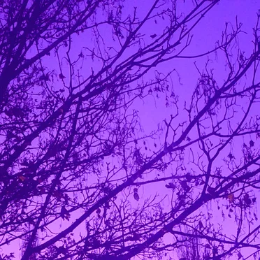 anhedonia