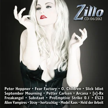 Zillo CD-06/2012 by Various Artists - album cover